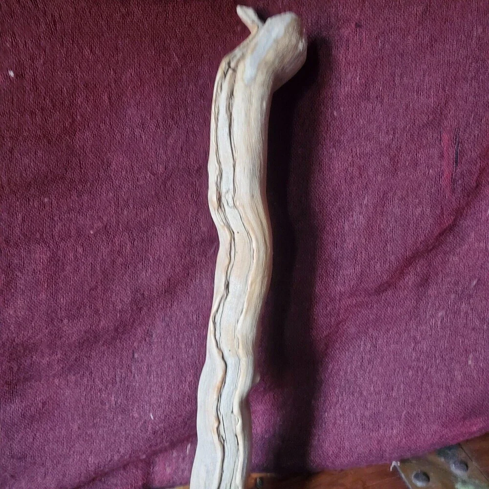 Driftwood Decor - 13